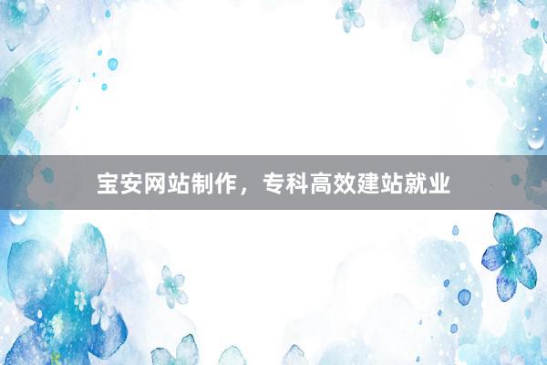 宝安网站制作，专科高效建站就业